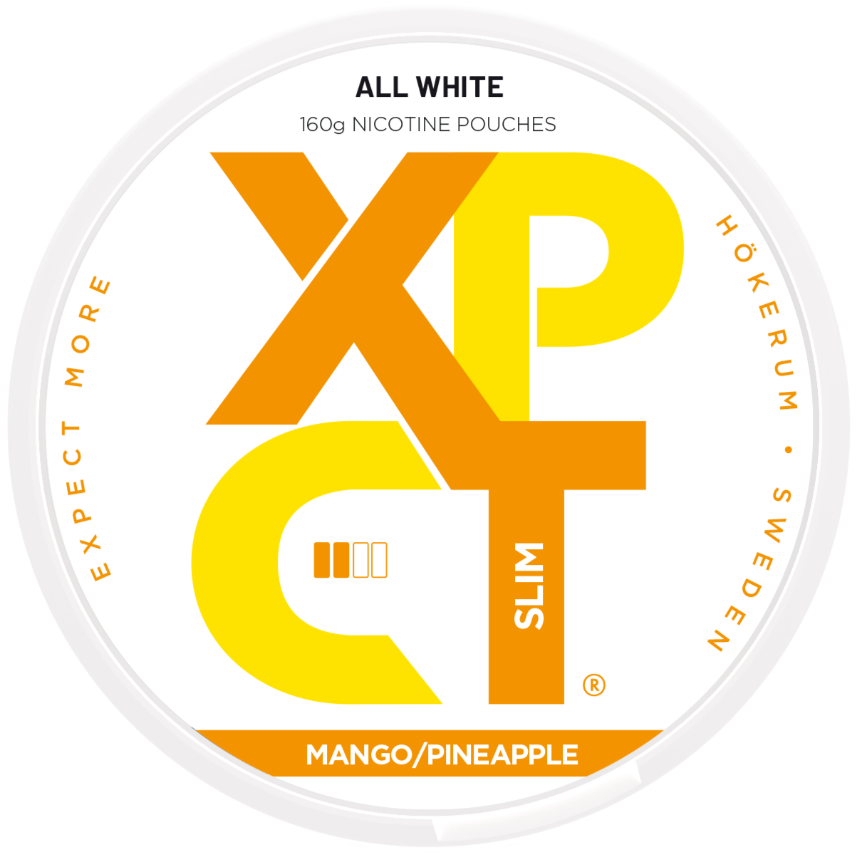 XPCT Mega Can Mango Pineapple (400 Pouches) - 6mg