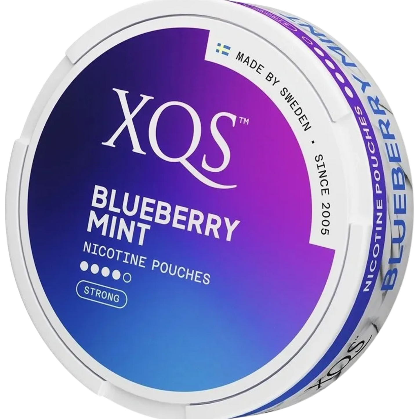 XQS Blueberry Mint - 20mg