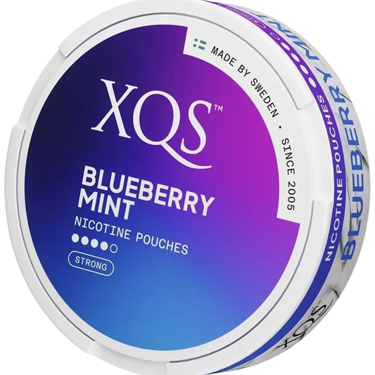 XQS Blueberry Mint - 20mg
